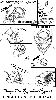 Filename=comic02.gif
Filesize=67KiB
Dimensions=500x885
Date added=Jul 16, 2008 comic02.gif