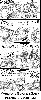 Filename=comic04~0.gif
Filesize=136KiB
Dimensions=500x1200
Date added=Jul 16, 2008 comic04~0.gif