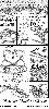 Filename=comic07.gif
Filesize=131KiB
Dimensions=500x1100
Date added=Jul 16, 2008 comic07.gif