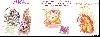 Filename=comic12.gif
Filesize=71KiB
Dimensions=800x300
Date added=Jul 16, 2008 comic12.gif