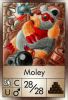 Filename=Moley.jpg
Filesize=294KiB
Dimensions=494x723
Date added=Jun 22, 2016 Moley.jpg