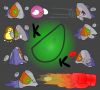 Filename=KK.png
Filesize=247KiB
Dimensions=936x846
Date added=Mar 23, 2009 KK.png