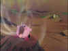 kirby2_201.jpg (38191 bytes)