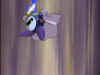 kirby3_110.jpg (33187 bytes)