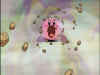 kirby3_60.jpg (38160 bytes)