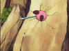 kirby3_90.jpg (56448 bytes)